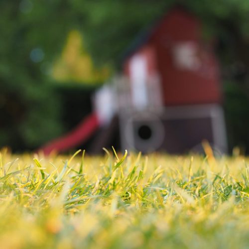 pexels-jens-mahnke-1251801